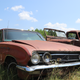 This 1962 Buick Skylark coupe was part of the hoard in the field.